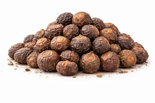 Soapnut whole dried fruits of Sapindus mukorossi herbal raw material