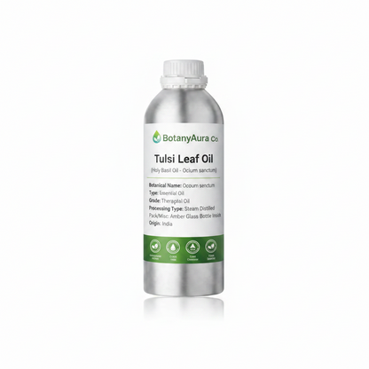Tulsi Leaf Oil (Holy Basil Carrier Oil) – Ocimum sanctum