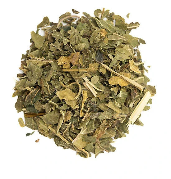 Urtica dioica dried nettle leaves close view