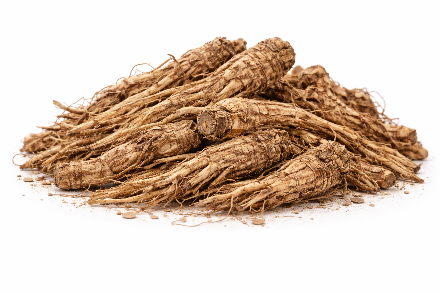 Valerian root whole dried roots of Valeriana officinalis herbal raw material