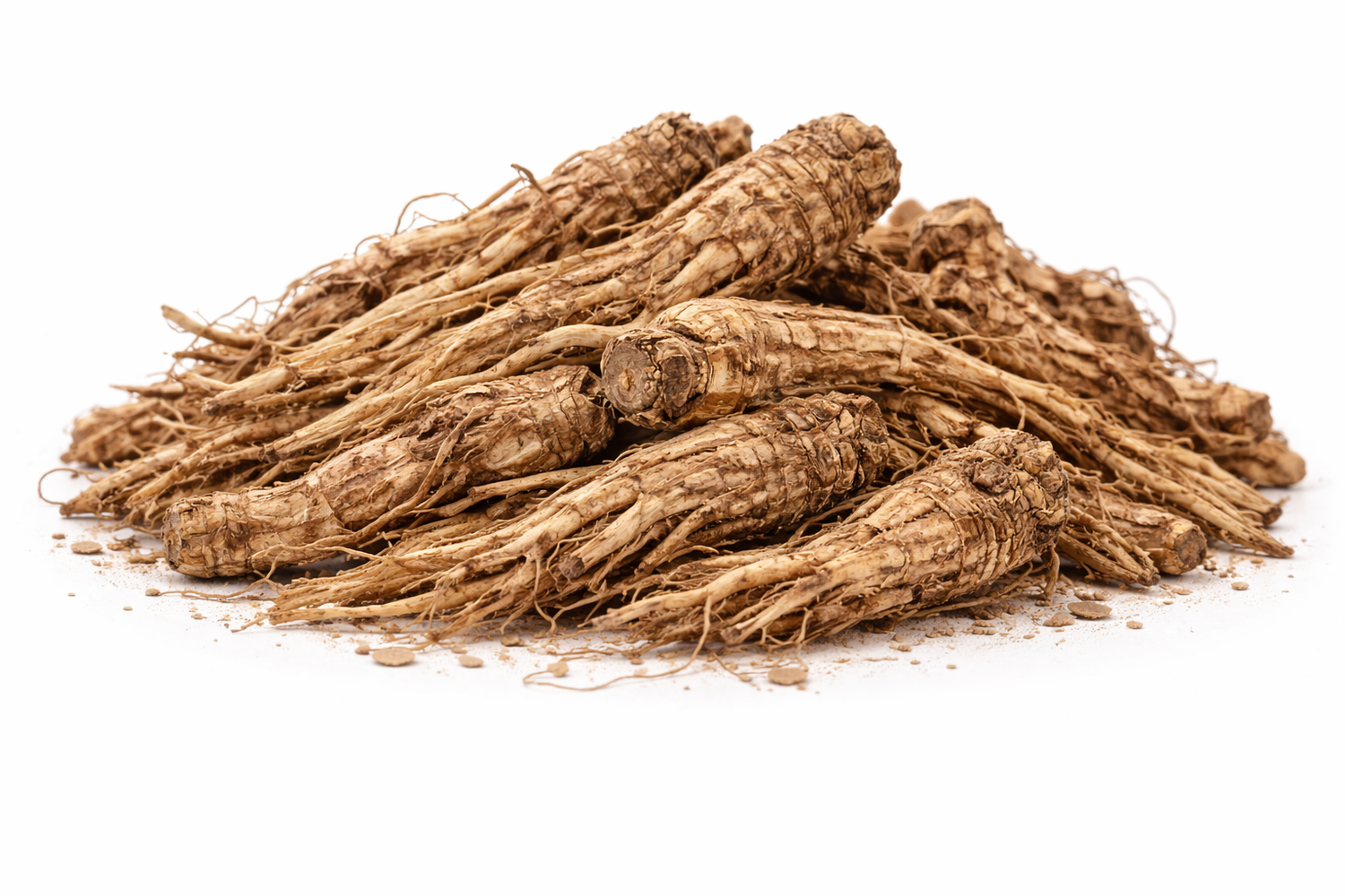 Valerian root whole dried roots of Valeriana officinalis herbal raw material